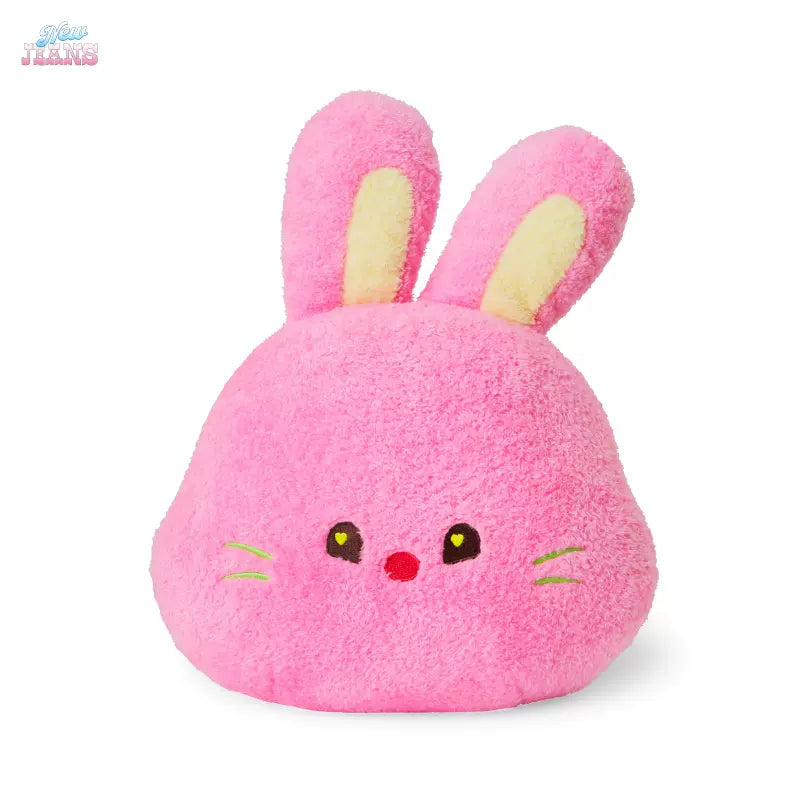 NEWJEANS - Bunini Face Cushion