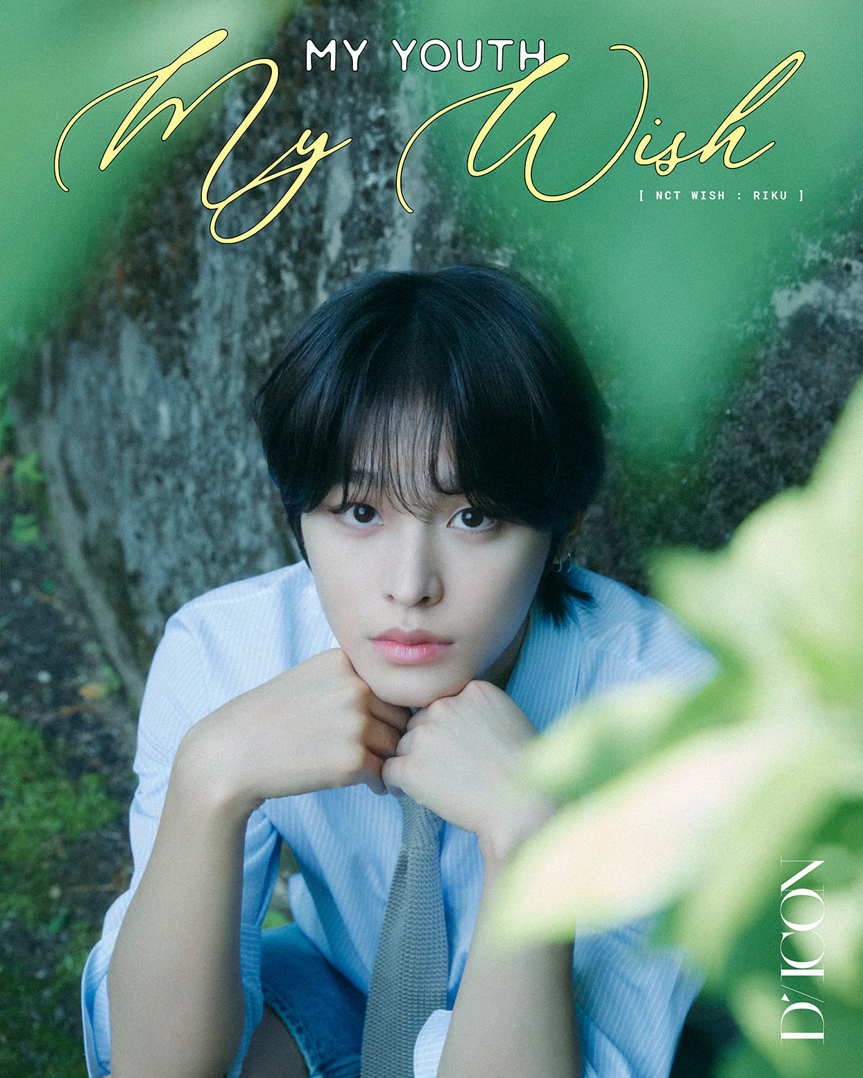 *PRE-ORDER* DICON VOL N29: My Wish, My Youth [A Type]