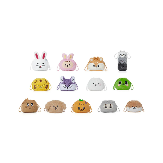*PRE-ORDER* SEVENTEEN - [MINITEEN HOUSE PARTY] Pouch