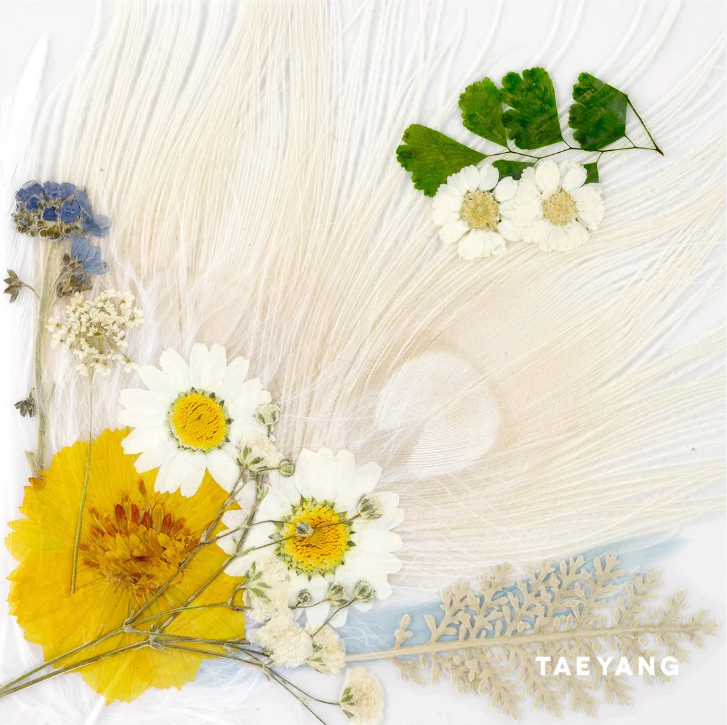 BigBang Taeyang - White Night