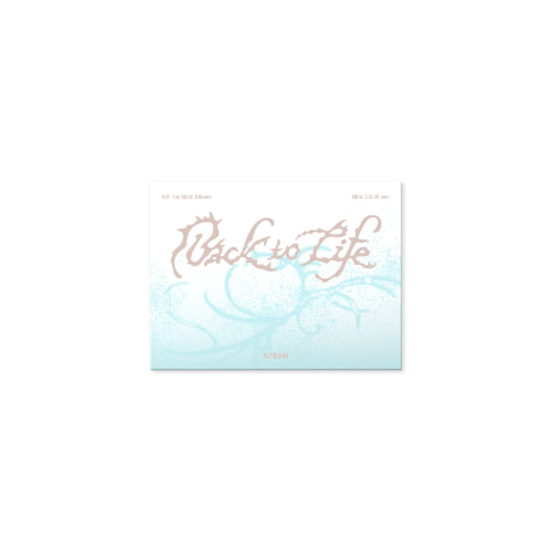 &TEAM - Back To Life (1st Korean Mini Album) [Mini CD-R Ver.]
