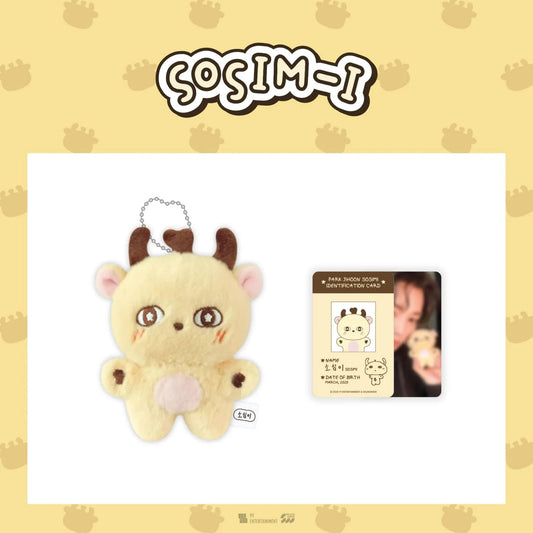 *PRE-ORDER* PARK JI-HOON - [SOSIM-I MD] Plush Doll Keyring