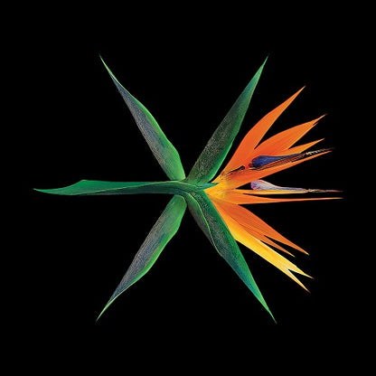 EXO - THE WAR (4th Studio Album) [Chinese Ver.]