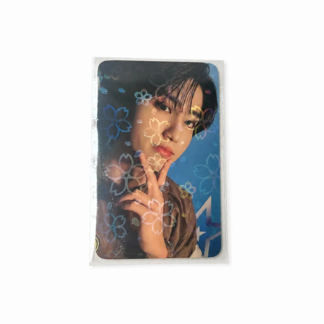 [NACHIMBEAR] Holographic Sakura Photocard Sleeves